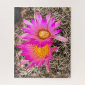 Puzzle Deux fleurs de cactus roses - photo de fond (Vertical)