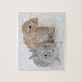 Puzzle Deux lapins.Netherland Nwarf et Holland Lop. (Vertical)