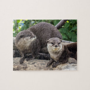 Puzzle Deux loutre mignonne des loutres  