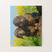 Puzzle Deux mignons Dachshunts Chiens Dackel Friends Pet (Vertical)