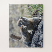 Puzzle Deux mignons écureuils terrestres (gophers, evrazk (Vertical)