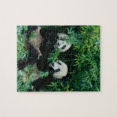 Puzzle Deux pandas mangeant du bambou ensemble, Wolong (Horizontal)