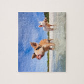 Puzzle Deux petits porcelets (Vertical)