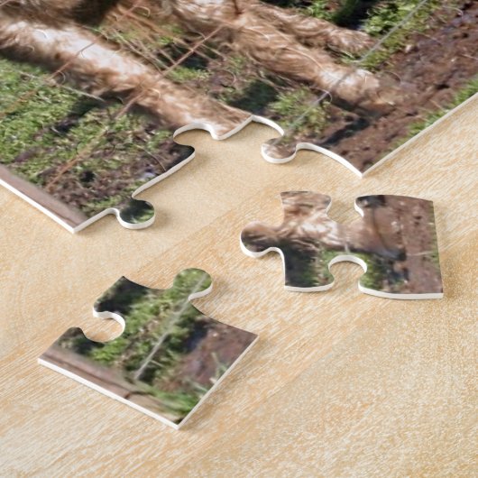Puzzle Deux poneys miniatures dans un paddock (Côté)