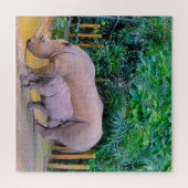 Puzzle Deux rhinocéros (Horizontal)