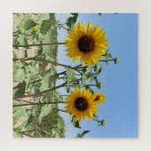Puzzle Deux Sunflower bleu ciel (Horizontal)