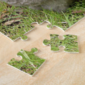 Puzzle Devon Rex chat animal de compagnie dans le jardin (Côté)