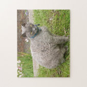 Puzzle Devon Rex chat animal de compagnie dans le jardin (Vertical)