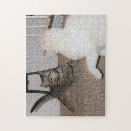 Puzzle Dexter et P.K. (Vertical)