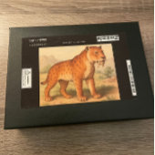 Puzzle d'histoire naturelle du tigre de dent sabre