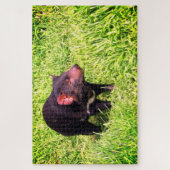 Puzzle diable de Tasmanie (Vertical)