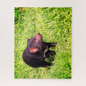 Puzzle diable tasmanien (Vertical)