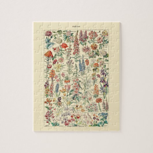 Puzzle Diagramme botanique du jardin Fleur sauvage Fleurs (Vertical)
