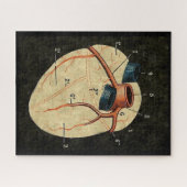 Puzzle Diagramme du coeur humain Vintage (Horizontal)