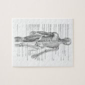 Puzzle Diagramme humain d'anatomie (Horizontal)