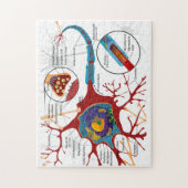 Puzzle Diagramme Neurone Complet Cellule Nerf Système Ner (Vertical)