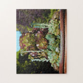 Puzzle Différents succulents dans grand planteur (Vertical)