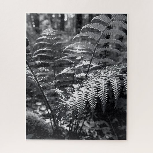 Puzzle Difficile photographie de la nature monochrome (Vertical)