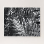 Puzzle Difficile photographie de la nature monochrome (Horizontal)