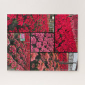 Puzzle Difficult Christmas Poinsettias 500 pieces (Horizontal)