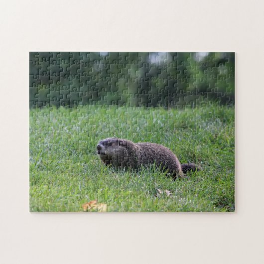 Puzzle Digger de trou du diable (Horizontal)