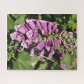 Puzzle Digitale (Horizontal)