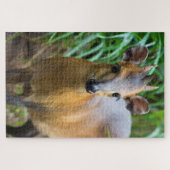 Puzzle Dik (Horizontal)