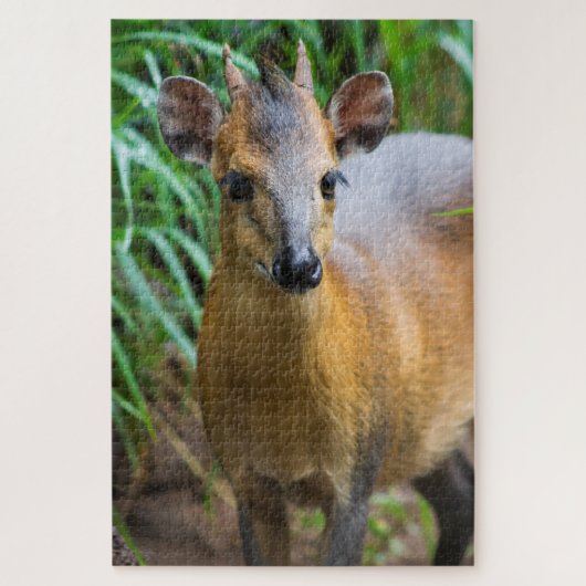 Puzzle Dik (Vertical)