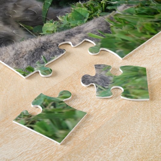 Puzzle Dilute Calico Cat (Côté)