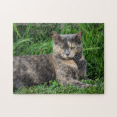 Puzzle Dilute Calico Cat (Horizontal)