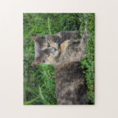 Puzzle Dilute Calico Cat (Vertical)