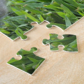 Puzzle Dilute Gris Tortoiseshell Chat en Grass (Côté)