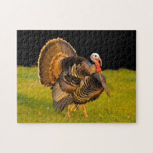Puzzle Dinde de Thanksgiving