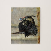 Puzzle Dinde mâle, Illinois (Vertical)