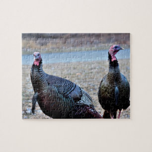 Puzzle Dindes sauvages