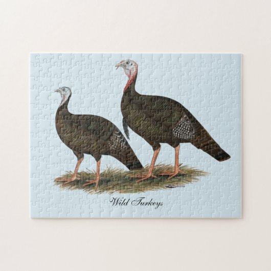 Puzzle Dindons sauvages de l'est en couple (Horizontal)