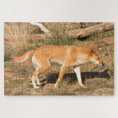 Puzzle Dingo australien (Horizontal)
