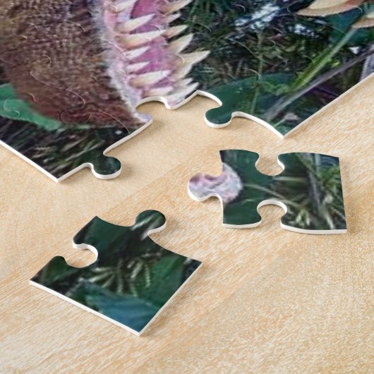 Puzzle Dinosaur (Côté)
