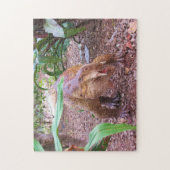 Puzzle Dinosaur - Placerias (Vertical)