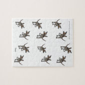Puzzle : Dinosaures (Horizontal)