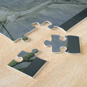 Puzzle Dinosaures vintages, Megapnosaurus alias Syntarsus (Côté)