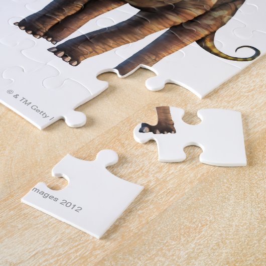 Puzzle Diplodocus (Côté)