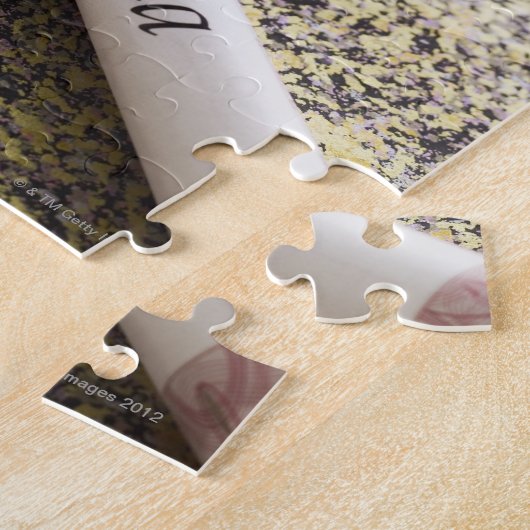 Puzzle Diplôme (Côté)