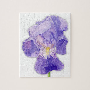 Puzzle d'Iris pourpre