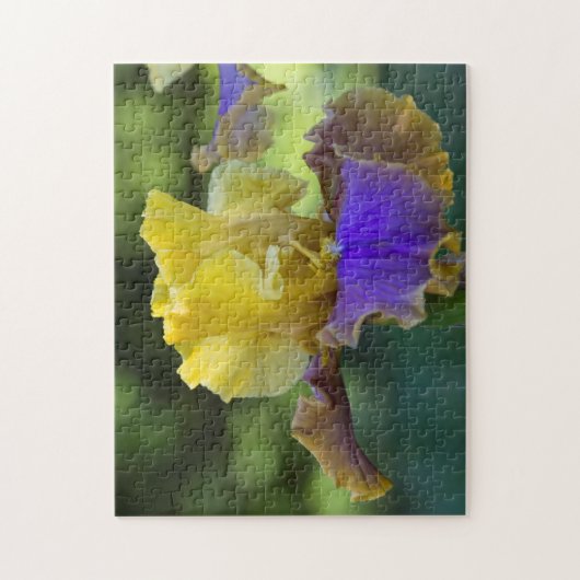 Puzzle d'iris pourpre et jaune (Vertical)