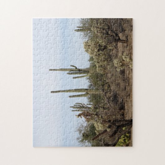 Puzzle Divers cactus (Vertical)