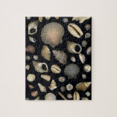 Puzzle Divers coquillages marins (Vertical)