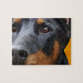 Puzzle Doberman Close (Horizontal)