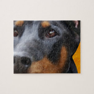 Puzzle Doberman Close