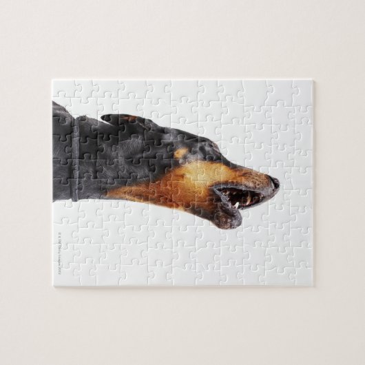 Puzzle Doberman hurle (Horizontal)